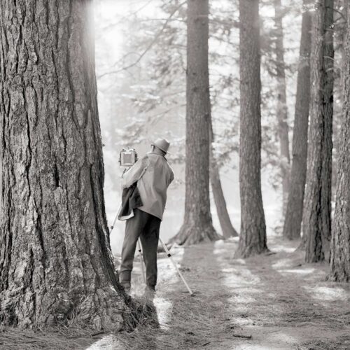 An image of photographer Ansel Adams in the woods.