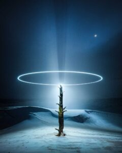 Image of a tree at night with a halo glow