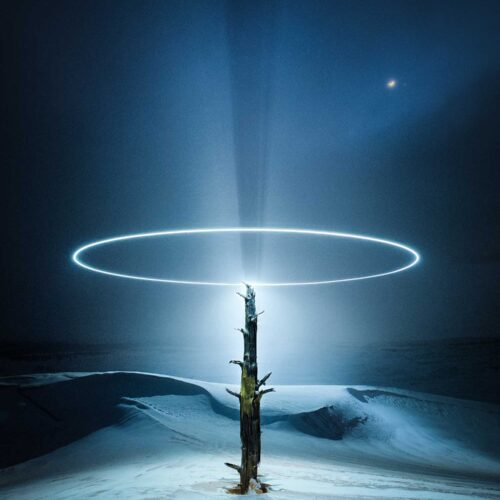 Image of a tree at night with a halo glow