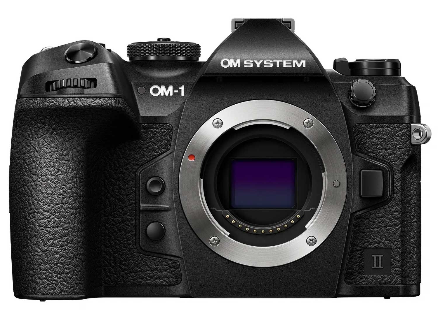 The Best Cameras for Wildlife Photography in 2024 - Wild Eye Magazine