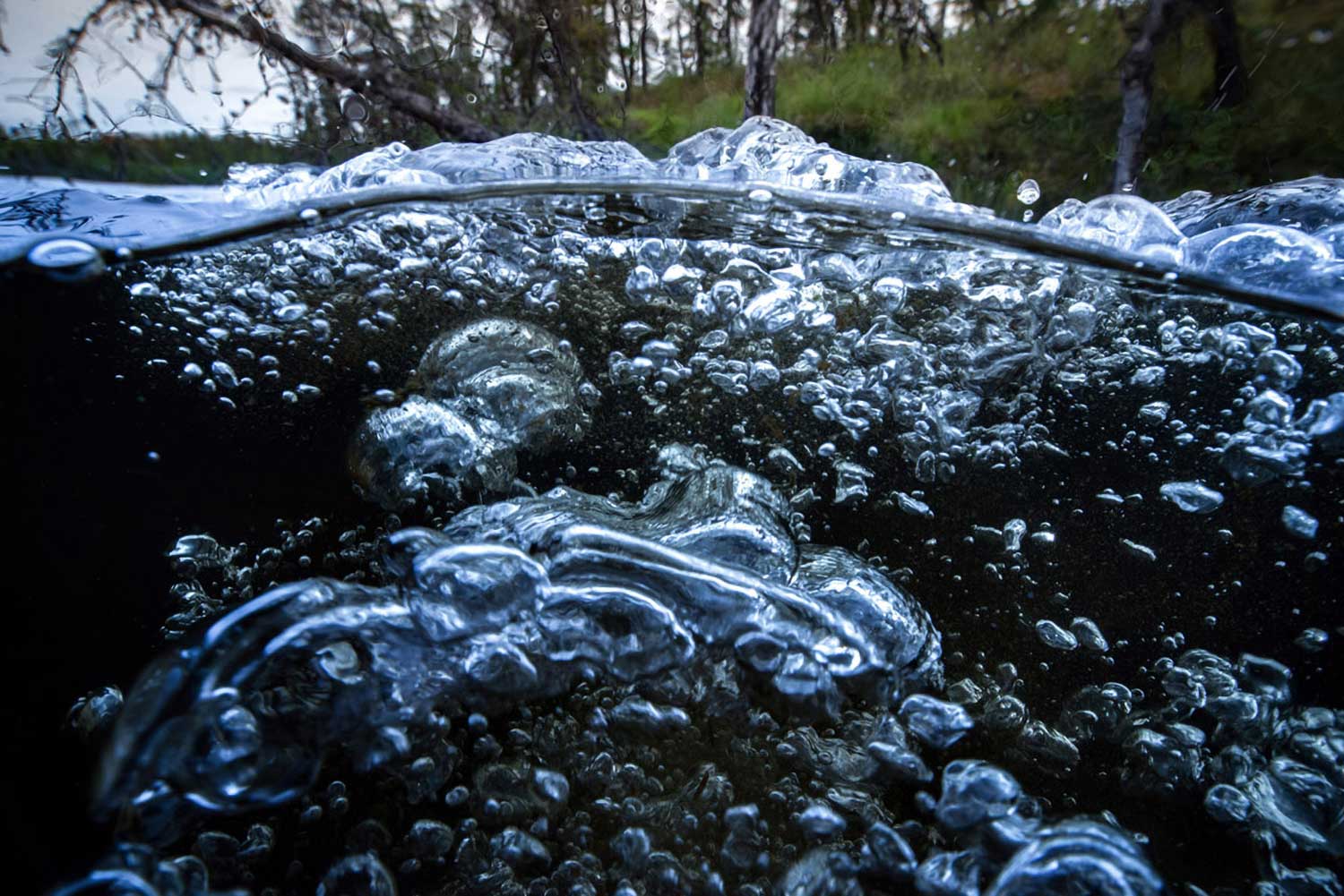 A photo of greenhouse methane gas bubbles