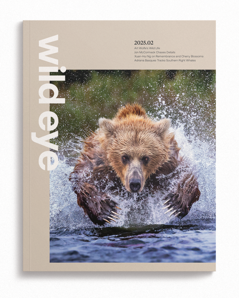Issue 2025.02 Cover featuring Art Wolfe's Wild Life, Jon McCormack Chasing Details, Xuan-Hui Ng on Remembrance and Cherry Blossoms, and Adriana Basque Tracks Southern White Whales
