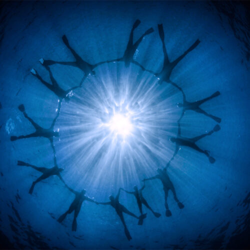 A group of snorklers and scuba divers all in a circle, photograph taken underwater looking up with the sun at the center of the image.