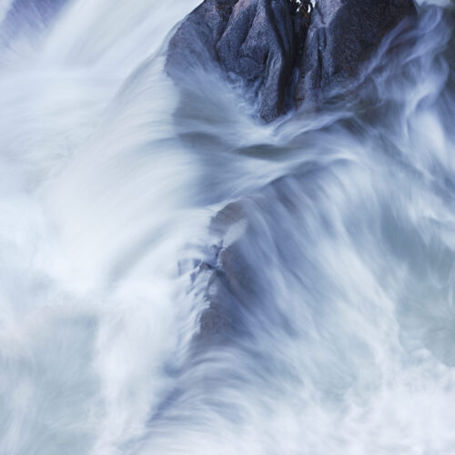 Yosemite National Park, California A tree unexpectedly clings to life between rocks in the waters of Cascade Falls.