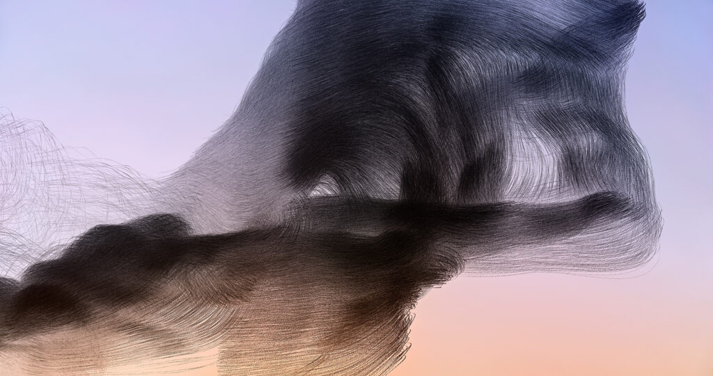 Photo by Xavi Bou showing abstract trails of birds in flight.