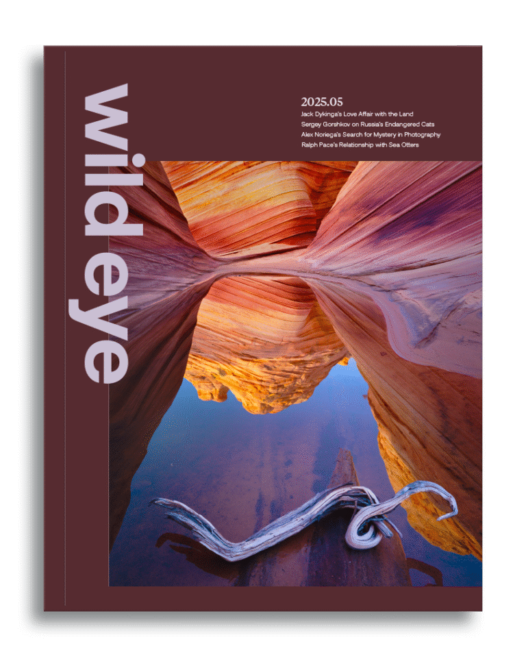 Wild Eye Magazine Issue 2025.05 Cover