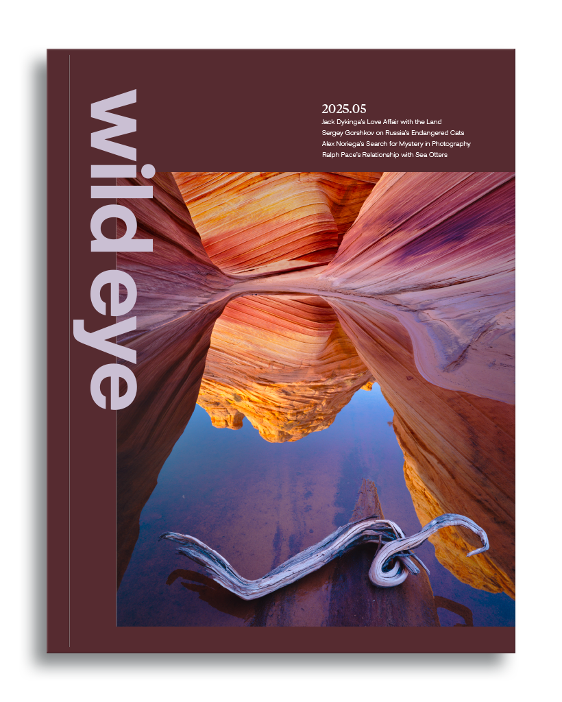 Wild Eye Magazine Issue 2025.05 Cover
