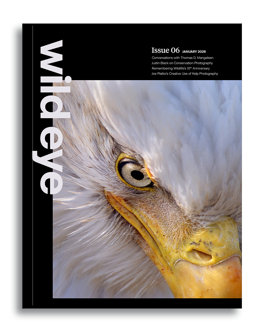 Wild Eye Magazine Cover: Issue 06, January 2026