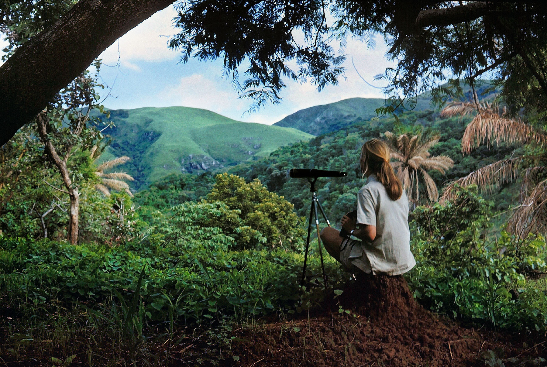Photo of Jane Goodall as a self portrait in the wild landscape with her telescope.