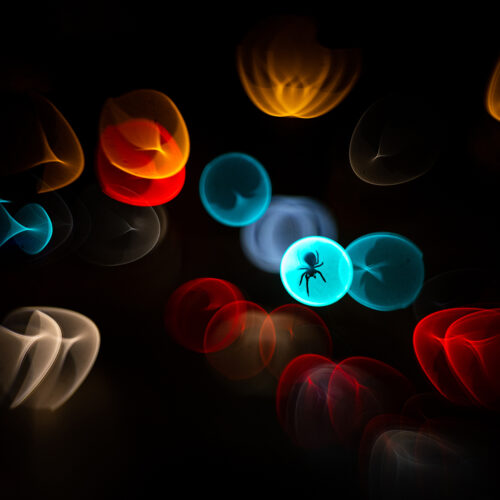 A kaleidoscope effect taken with experimental photography showing a spider in what appears to be a glowing bubble.