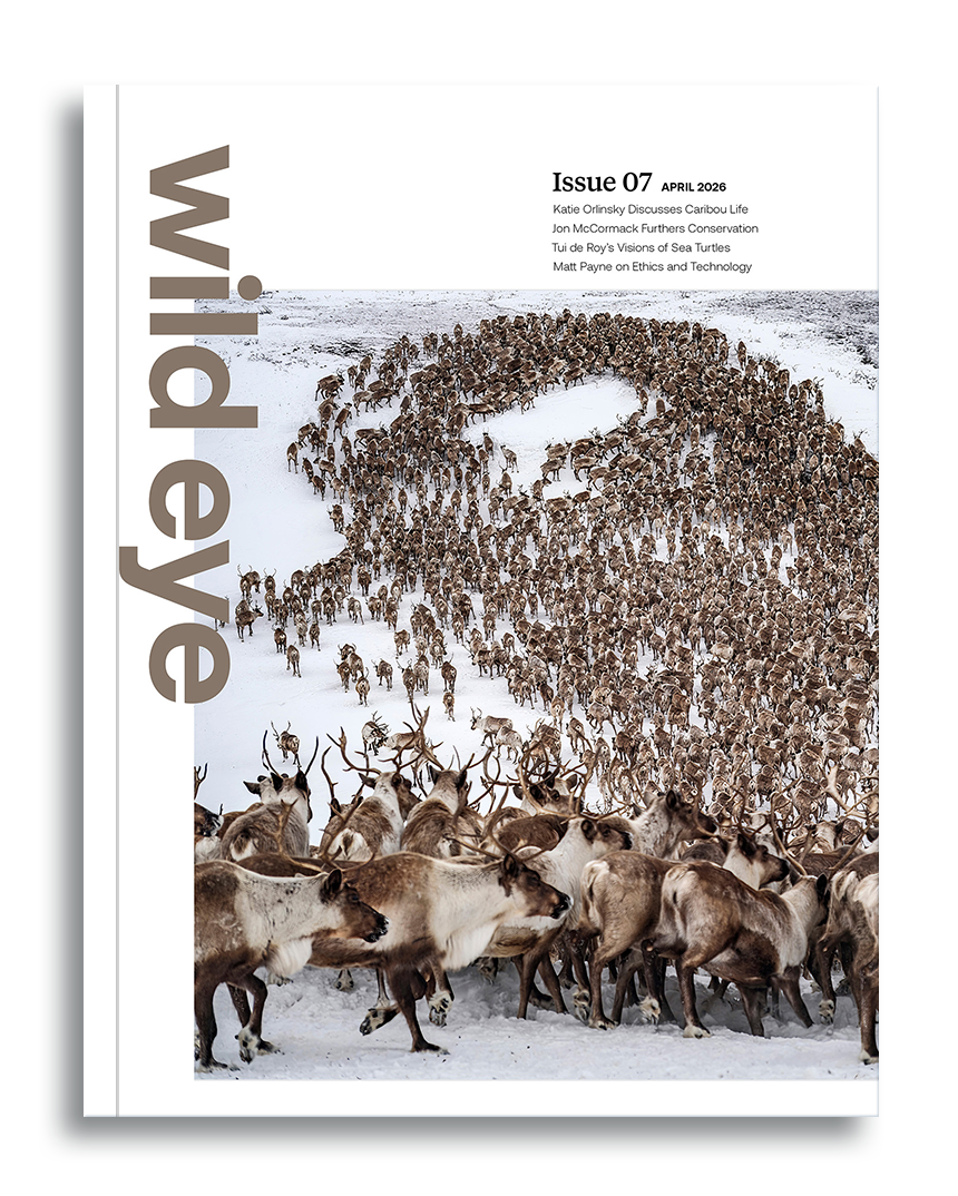 Wild Eye Magazine Issue 07 Cover