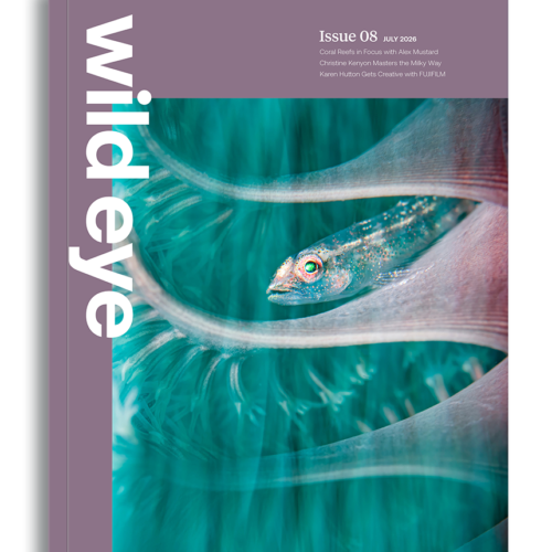 Wild Eye Magazine Issue 08, 2026 cover photo
