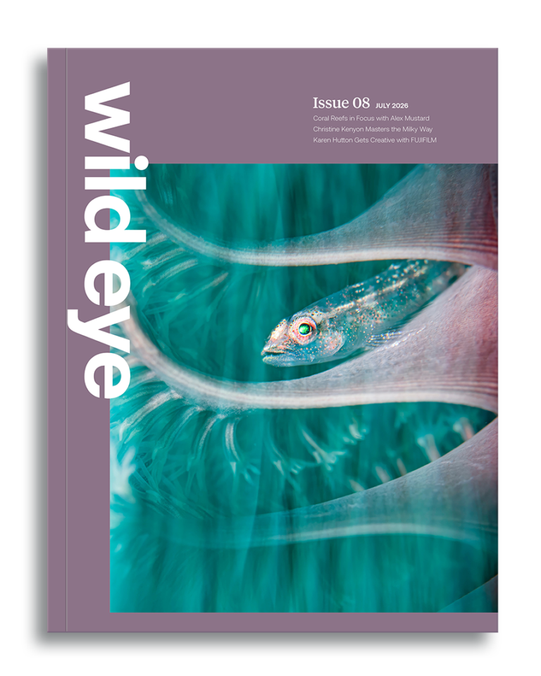 Wild Eye Magazine Issue 08, 2026 cover photo