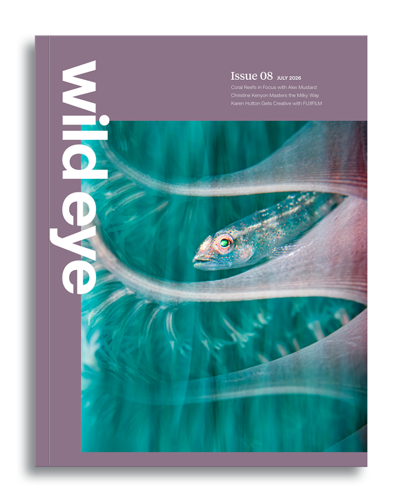 Wild Eye Magazine Issue 08, 2026 cover photo