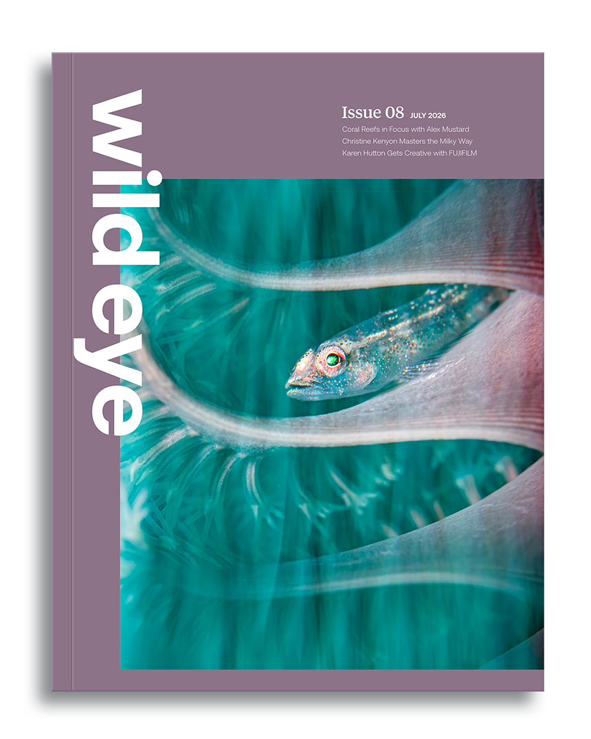 Wild Eye Magazine Issue 08, 2026 cover photo